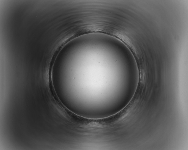 X0000089450390200706151435