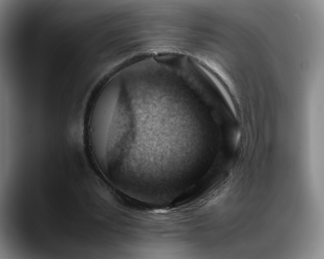 X0000089450391200706151435