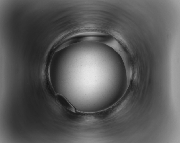 X0000089450392200706151435