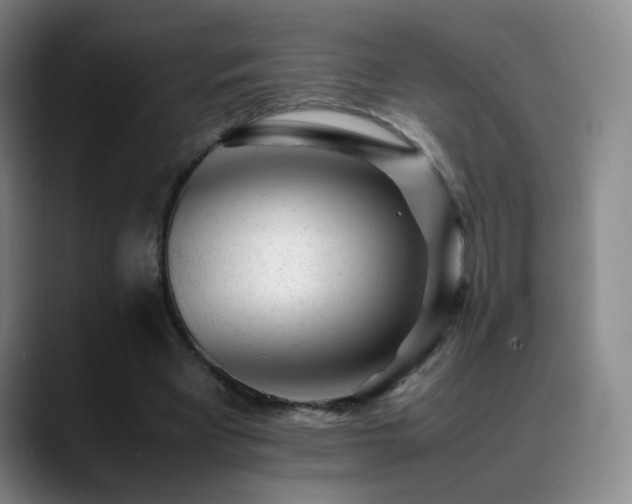 X0000089450393200706151435