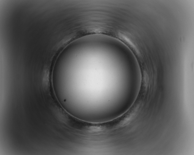 X0000089450394200706151435