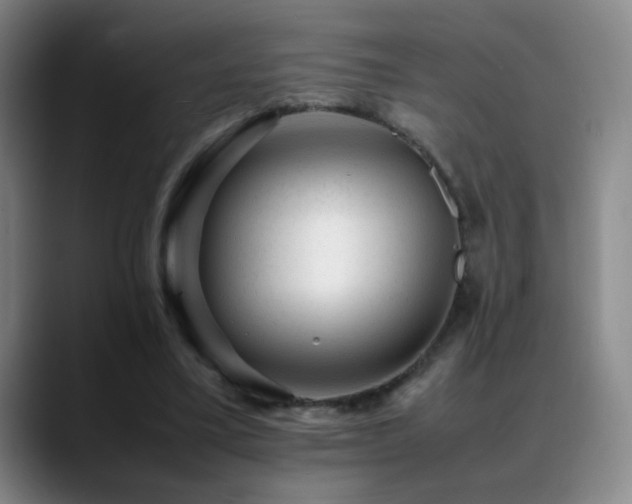X0000089450395200706151435