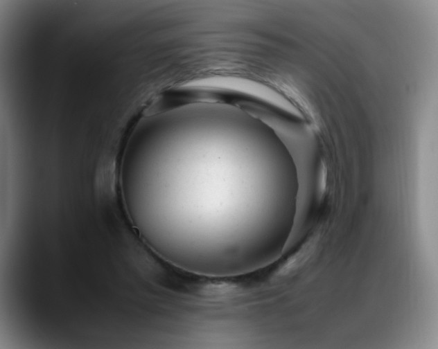 X0000089450397200706151435