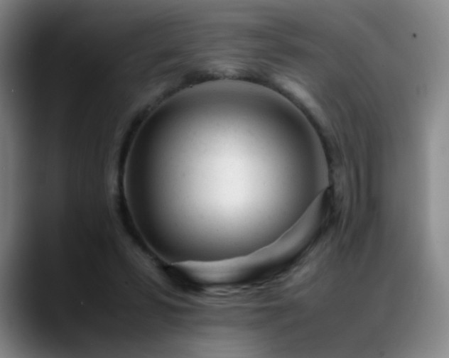 X0000089450399200706151435