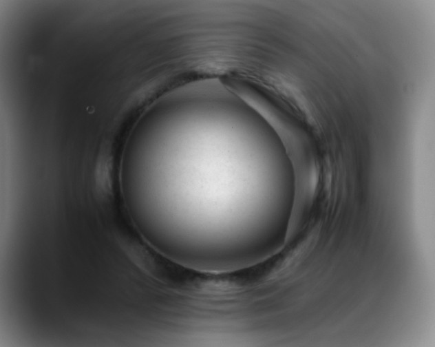 X0000089450400200706151435