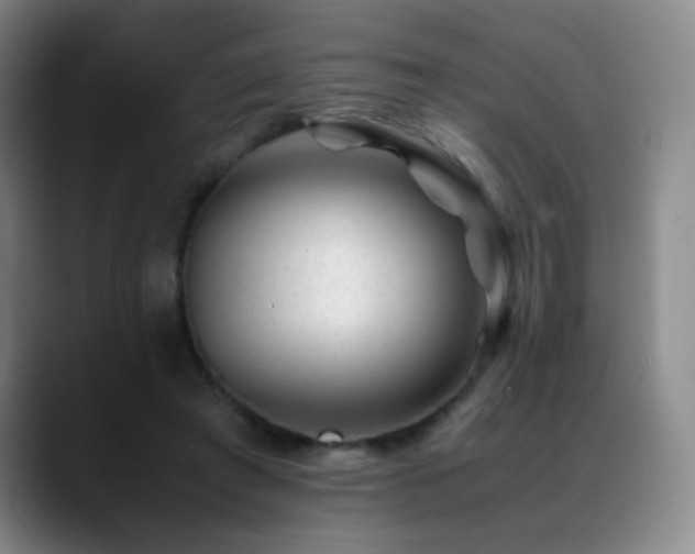 X0000089450401200706151435