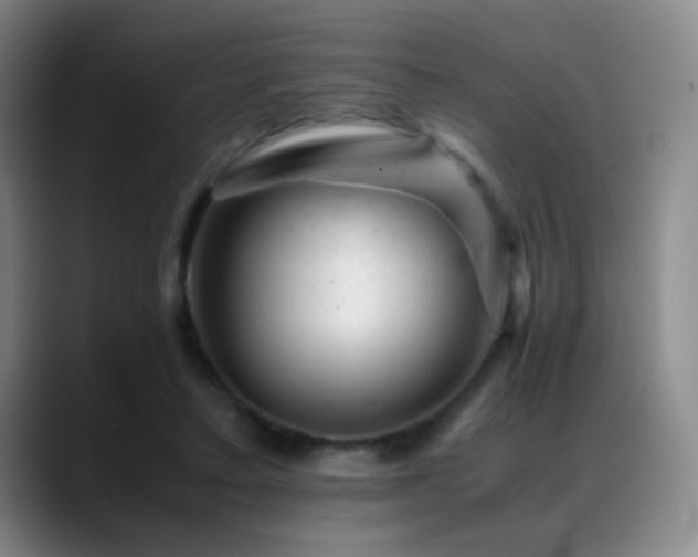 X0000089450403200706151435