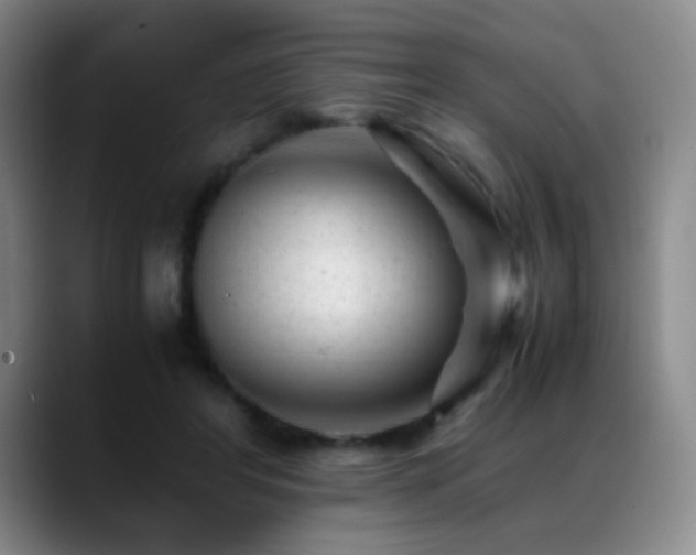 X0000089450404200706151435