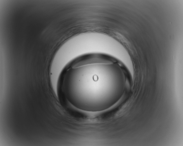 X0000089450405200706151435