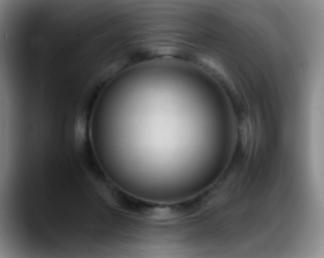 X0000089450406200706151435