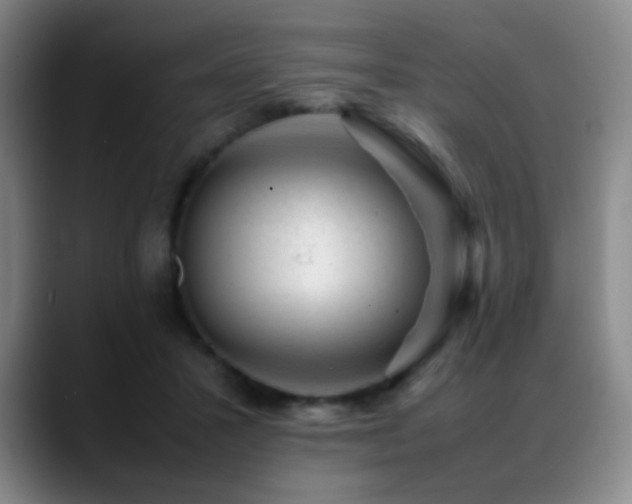 X0000089450407200706151435