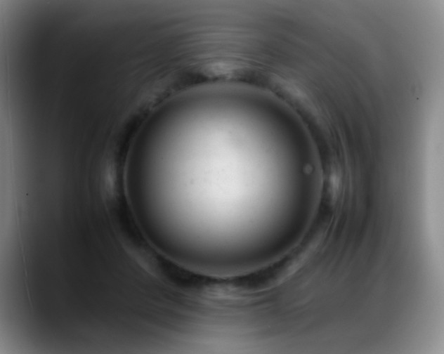 X0000089450408200706151435