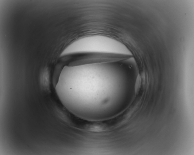 X0000089450412200706151435