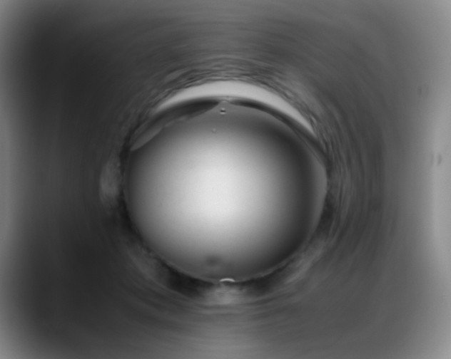 X0000089450413200706151435