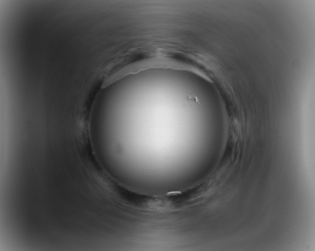 X0000089450415200706151435