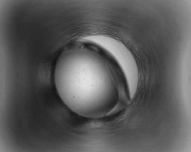 X0000089450416200706151435