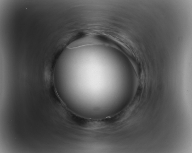 X0000089450417200706151435