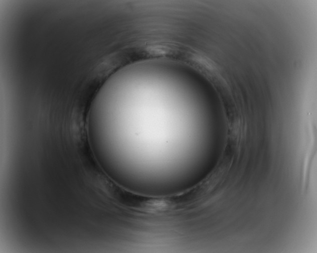 X0000089450418200706151435