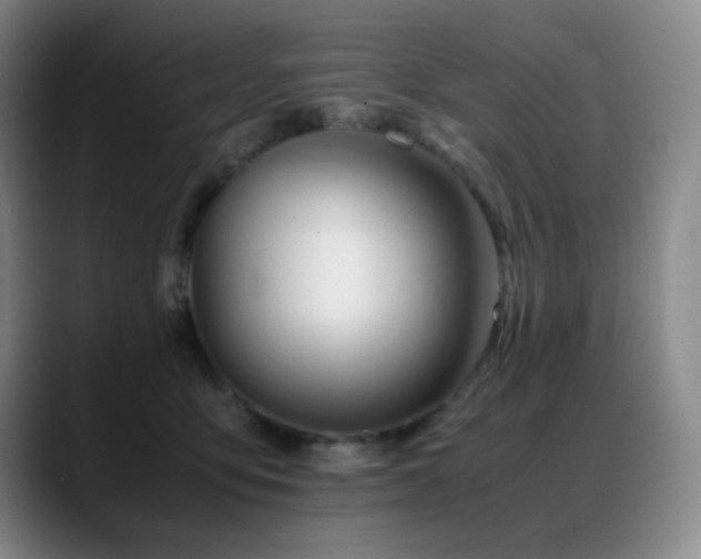 X0000089450419200706151435