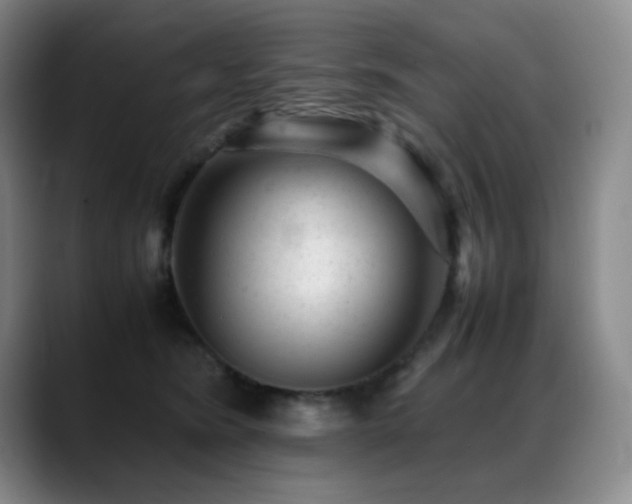X0000089450420200706151435