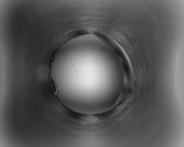X0000089450421200706151435