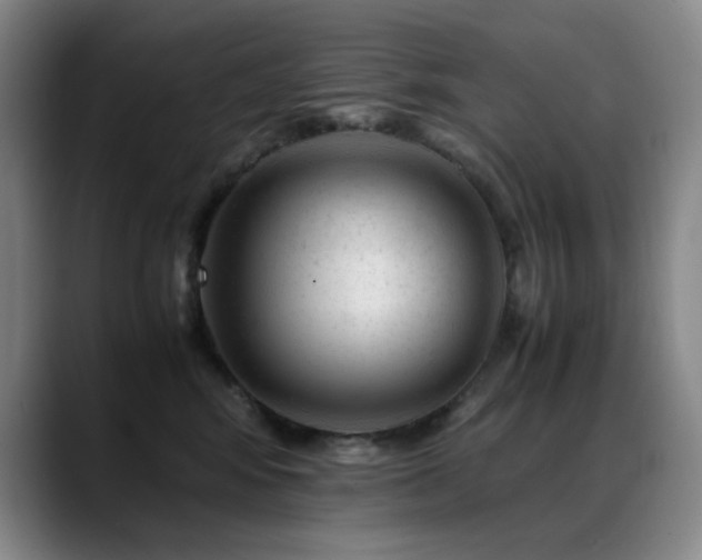 X0000089450424200706151435