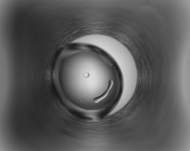 X0000089450425200706151435
