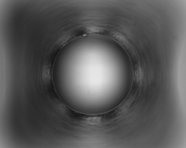 X0000089450426200706151435