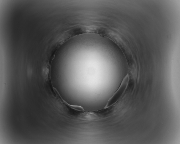 X0000089450427200706151435