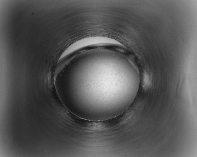 X0000089450428200706151435