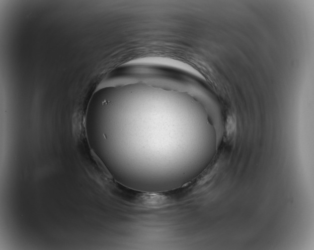 X0000089450429200706151435