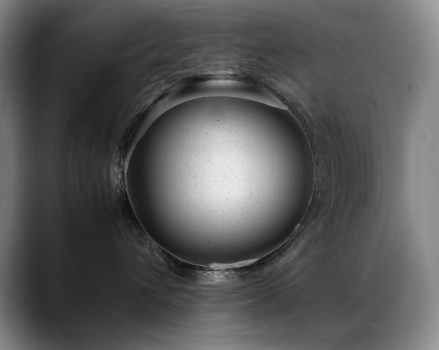 X0000089450432200706151435