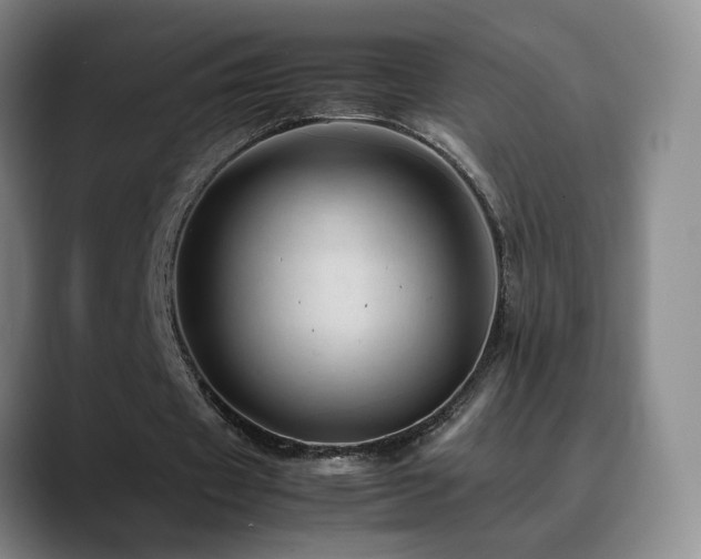 X0000089450433200706151434