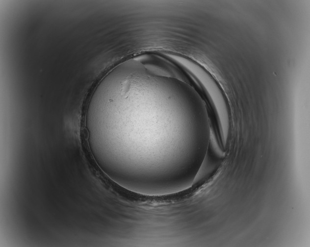X0000089450434200706151434