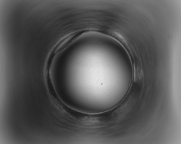 X0000089450435200706151434