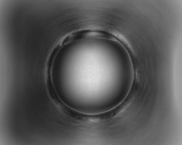 X0000089450436200706151434