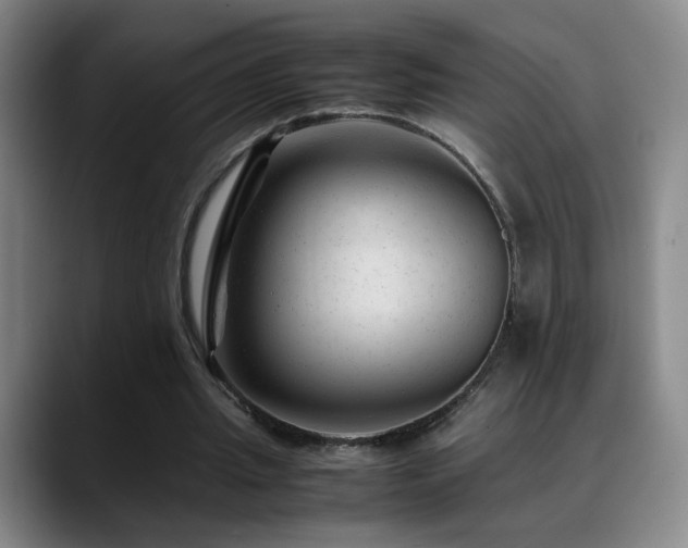 X0000089450437200706151434