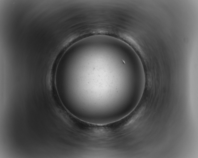 X0000089450439200706151434