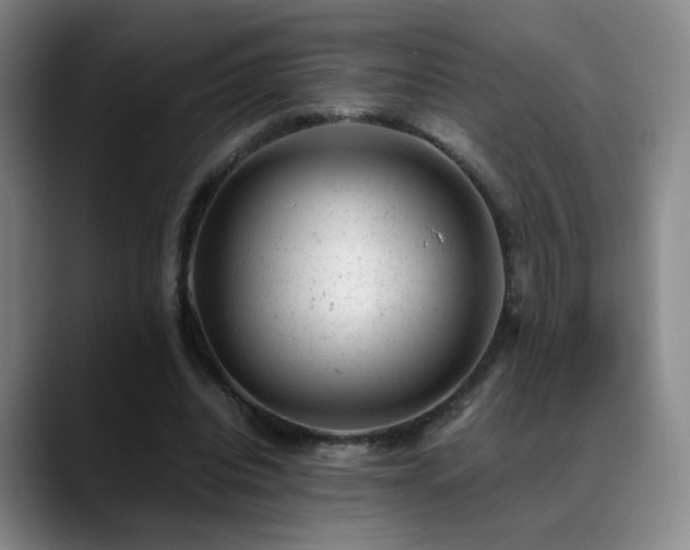 X0000089450440200706151434