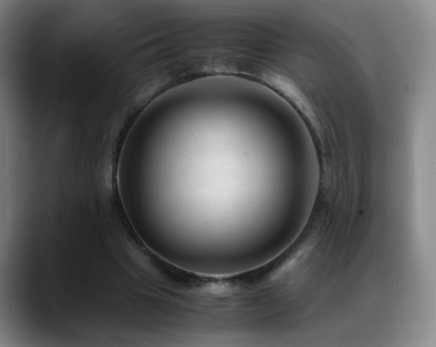 X0000089450441200706151434