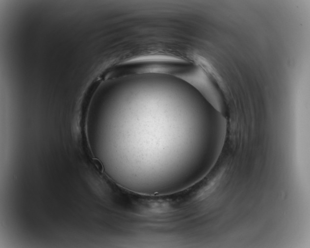 X0000089450443200706151434