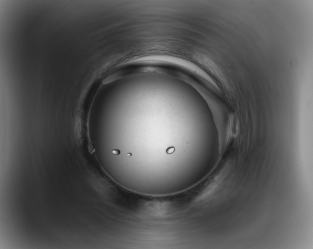X0000089450444200706151434