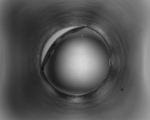 X0000089450445200706151434