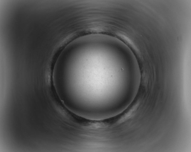 X0000089450446200706151434