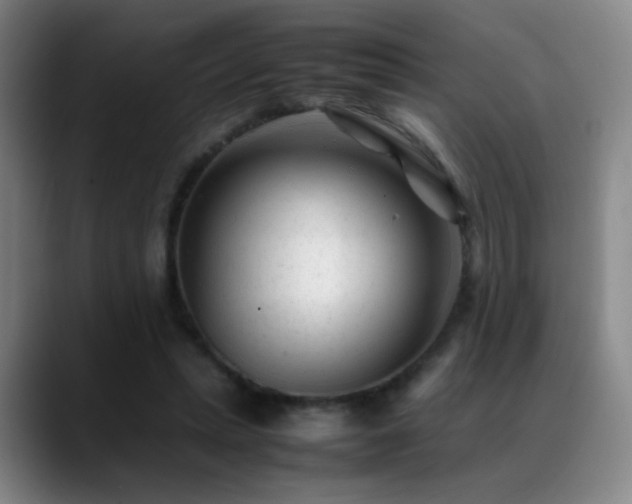 X0000089450447200706151434