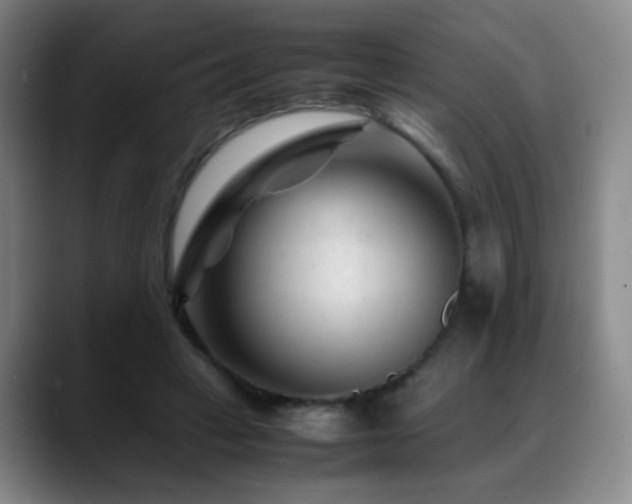 X0000089450449200706151434