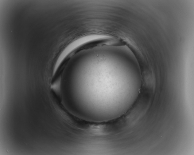 X0000089450450200706151434