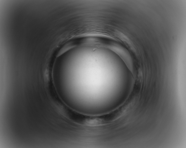 X0000089450452200706151434