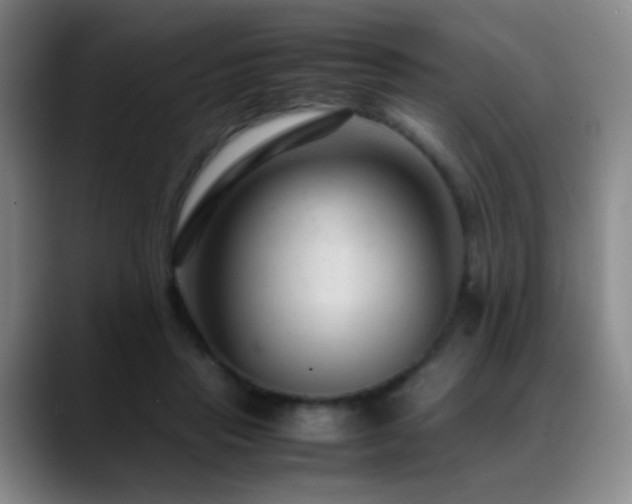 X0000089450453200706151434