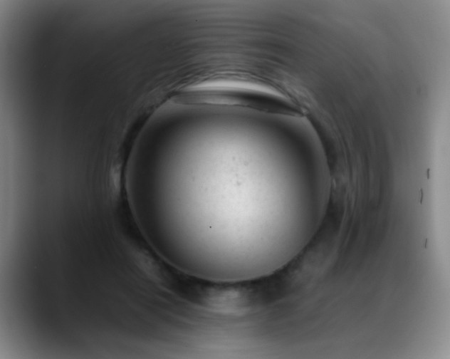 X0000089450454200706151434